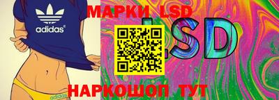 сатива Краснодар