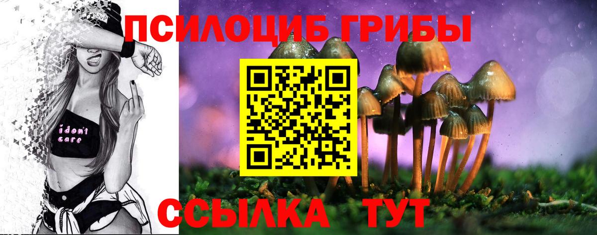 Галлюциногенные грибы Psilocybe  Галлюциногенные грибы ЛСД  где продают   Клин  Вход с VPN 